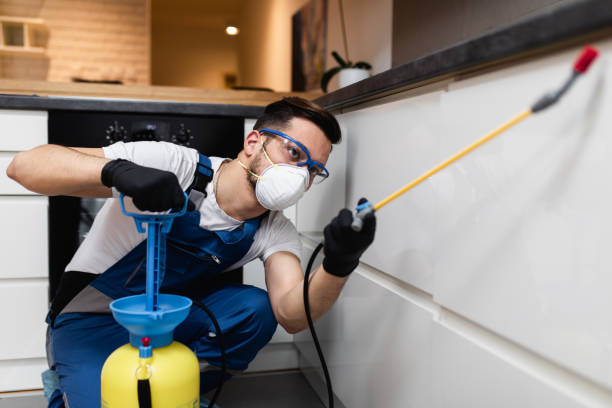 Best Pest Removal Services  in Mamou, LA