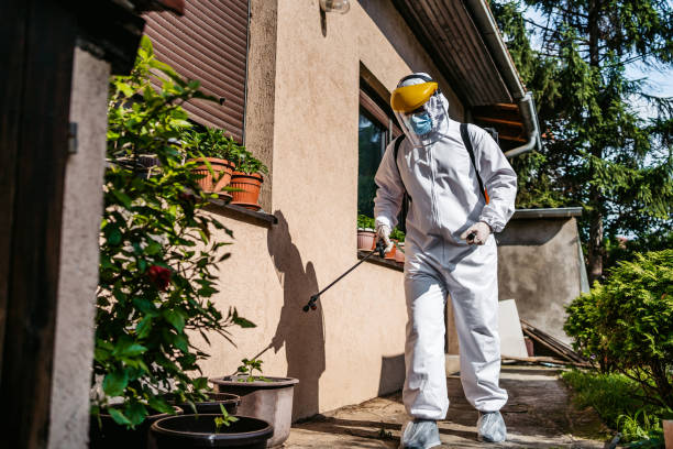Best Pest Control Near Me in Mamou, LA
