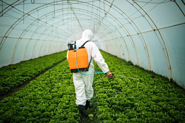 Best Pest Control Treatment  in Mamou, LA