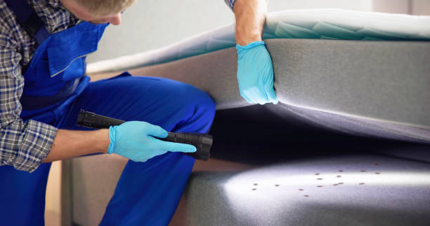 Best Pest Removal Services  in Mamou, LA